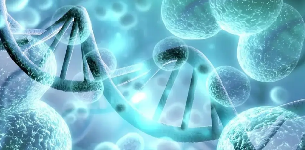 传统技术 vs 干细胞外泌体