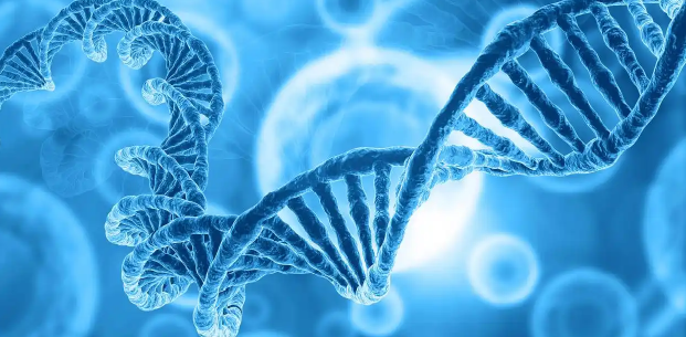 干细胞技术实验室