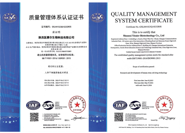 质量管理体系认证证书