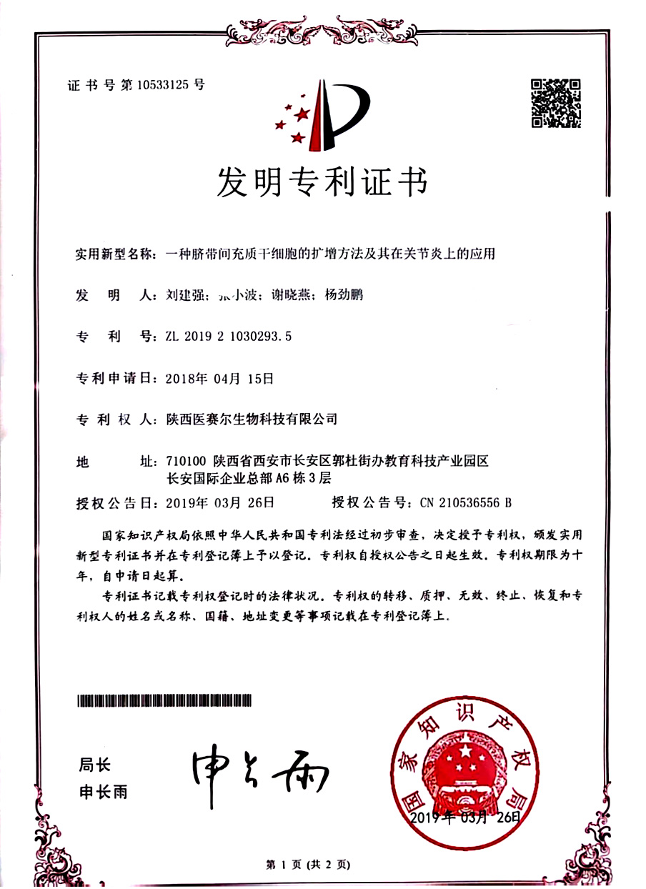 一种脐带间充质干细胞的扩增方法及其在关节炎上的应用