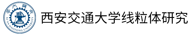 西安交通大学线粒体研究