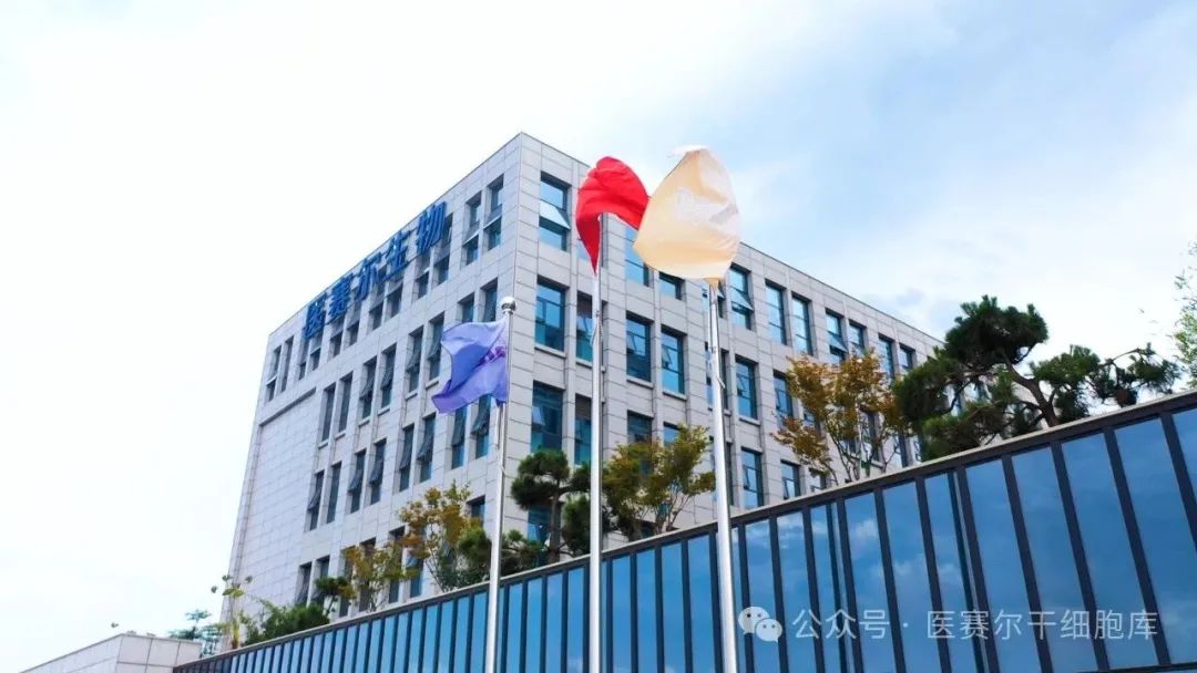 1754820894889269.jpg 1754820894889269.jpg