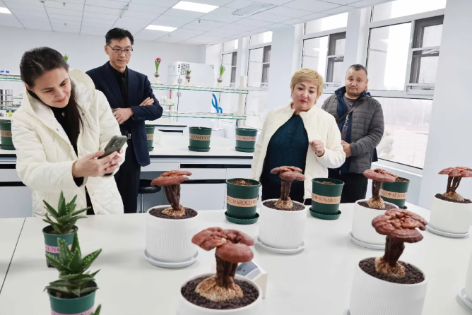 1767339032227226.png ScreenShot_2026-01-02_152634_839.png